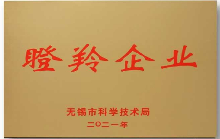 瞪羚企業(yè)
